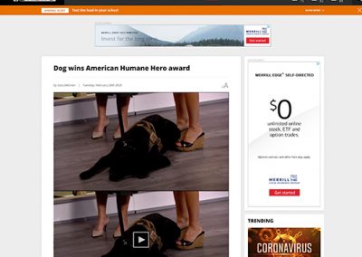 American Humane CBS12